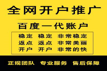 网络推广中的竞价广告：成功案例解析